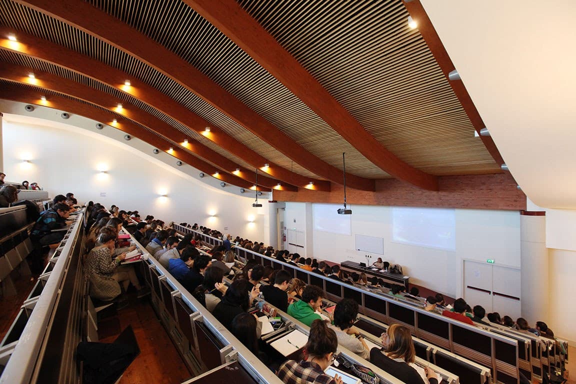 Università di Bologna